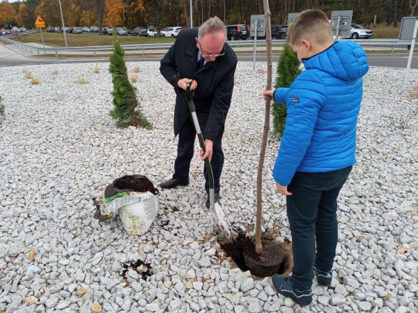 Wicemarszałek Wojciech Jankowiak i Wiktora Napierała sadzą pamiątkowe drzewko na rondzie im. Adriana Napierały - kliknij aby powiększyć