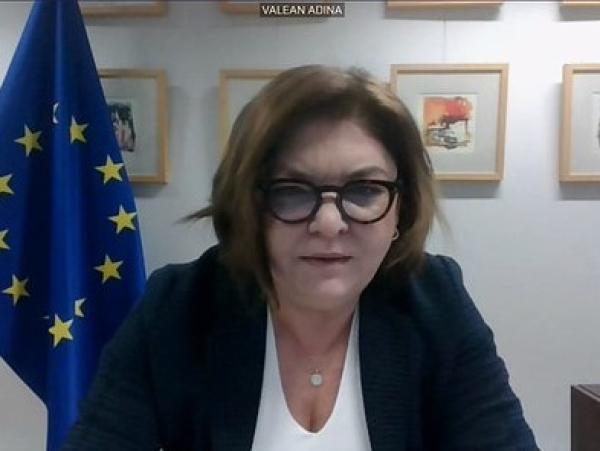 komisarz UE Adina Vălean- kliknij aby powiększyć