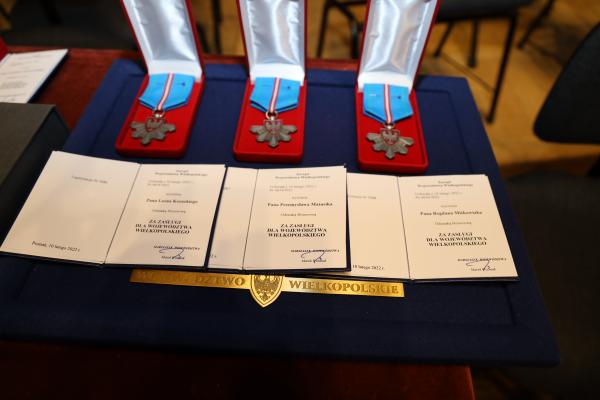 Marszałek Marek Woźniak wziął udział w Gali z okazji 165. rocznicy pierwszego Walnego Zebrania Poznańskiego Towarzystwa Przyjaciół Nauk. W trakcie uroczystości Marszałek wręczył wielkopolskim naukowcom Odznaki Honorowe Za zasługi dla województwa wielkopolskiego najwyższe regionalne odznaczenie.- kliknij aby powiększyć