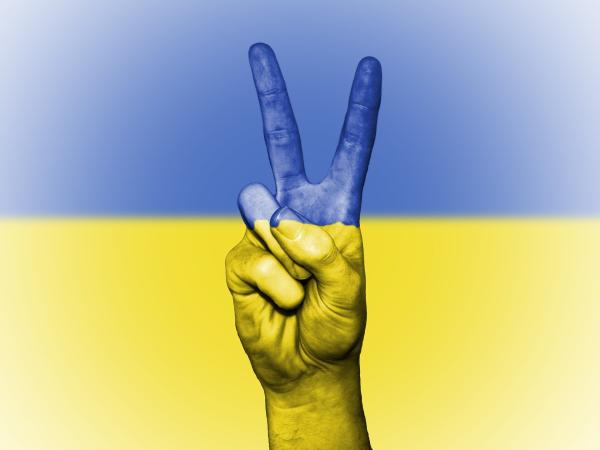 Wielkopolski Bank Żywności organizuje zbiórkę charytatywną dla osób potrzebujących w Ukrainie i tych którzy dotarli do Polski. - Bądźmy solidarni pomóżmy! – apeluje Marszałek Marek Woźniak.

Fot. Pixabay- kliknij aby powiększyć