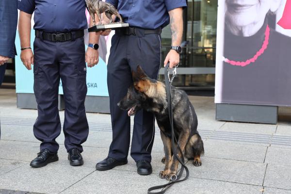 Najlepsi funkcjonariusze z czworonożnymi partnerami nagrodzeni przez Marszałka - kliknij aby powiększyć