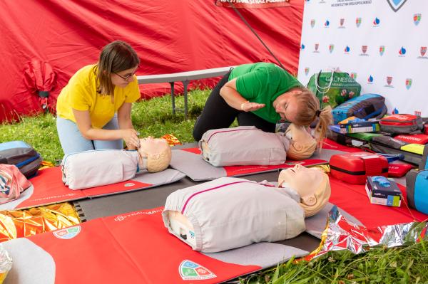 Piknik na Fest w Poznaniu – drugie Święto Wielkopolski- kliknij aby powiększyć