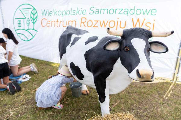 Piknik na FEST! w Kaliszu- kliknij aby powiększyć