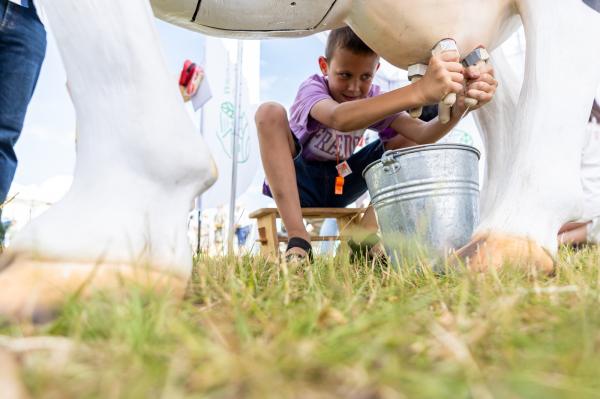 Piknik na FEST! w Kaliszu- kliknij aby powiększyć