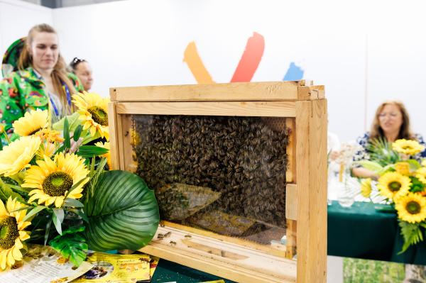Europejski Kongres Odnowy i Rozwoju Wsi - EXPO- kliknij aby powiększyć