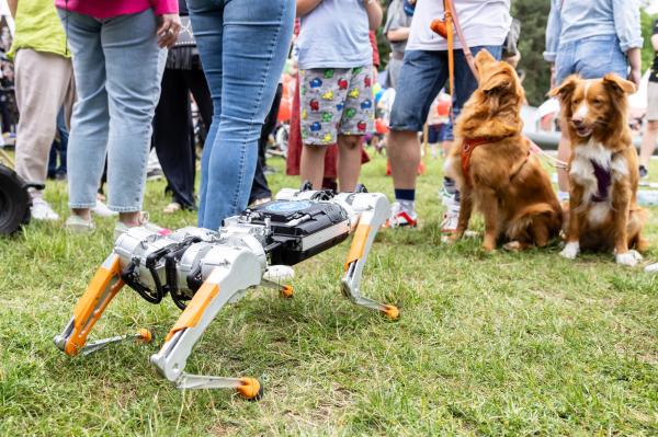 Piknik na Fest w Poznaniu - kliknij aby powiększyć