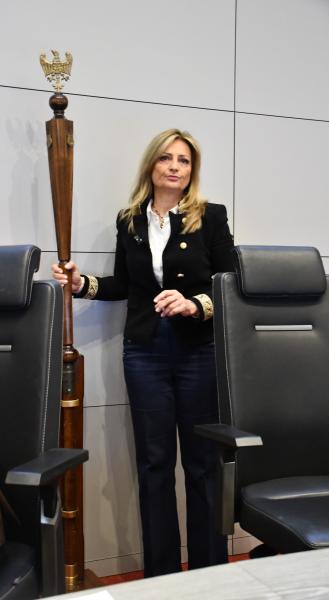 Za nami IV sesja Sejmiku Województwa Wielkopolskiego - kliknij aby powiększyć