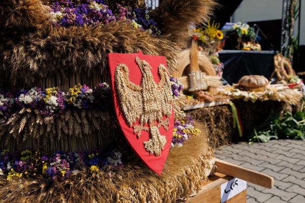 W sobotę 30 sierpnia w Grzybnie w gminie Brodnica odbyło się Święto Plonów powiatu śremskiego- kliknij aby powiększyć