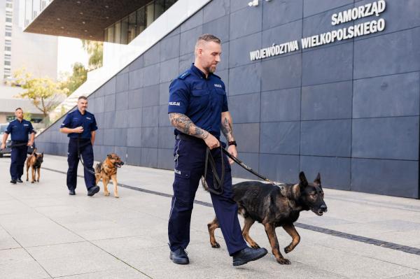 Marszałek Marek Woźniak wraz Tomaszem Olczykiem, Komendantem Wojewódzkim Policji w Poznaniu wręczyli statuetki oraz nagrody dla laureatów wojewódzkich eliminacji do XXII Kynologicznych Mistrzostw Policji- kliknij aby powiększyć