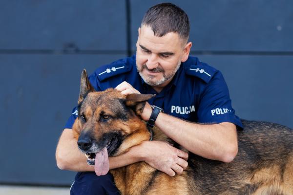 Marszałek Marek Woźniak wraz Tomaszem Olczykiem, Komendantem Wojewódzkim Policji w Poznaniu wręczyli statuetki oraz nagrody dla laureatów wojewódzkich eliminacji do XXII Kynologicznych Mistrzostw Policji- kliknij aby powiększyć