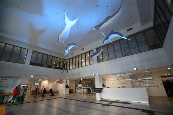 W unijnej perspektywie 2014-2020 najbardziej wyczekiwaną inwestycją unijną była budowa Wielkopolskiego Centrum Pediatrii w Poznaniu. Nowoczesny obiekt został otwarty wiosną 2022 roku przy ul. Wrzoska. - kliknij aby powiększyć