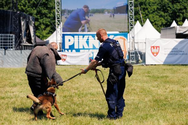 Piknik na FEST  -  święto Wielkopolski na poznańskiej Cytadeli- kliknij aby powiększyć