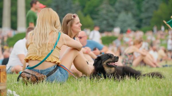 Wielu uczestników Pikniku na Fest pojawiło się na cytadeli ze swoimi czworonogami - kliknij aby powiększyć