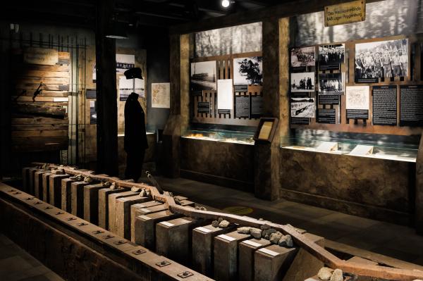 Misją muzeum jest zachowanie pamięci o ofiarach zbrodni niemieckich dokonanych na terenie Wielkopolski, prowadzenie działalności wystawienniczej, naukowej, edukacyjnej oraz ochrona i konserwacja reliktów poobozowych. - kliknij aby powiększyć