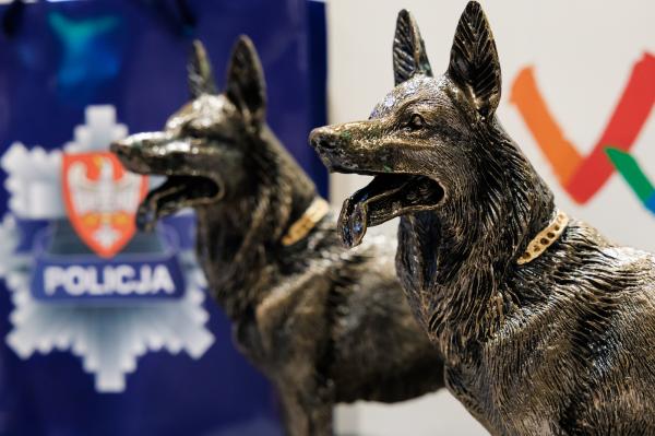wielkopolskie eliminacje do krajowego finału XXIII Kynologicznych Mistrzostw Policji odbyły się między 23 a 25 czerwca- kliknij aby powiększyć