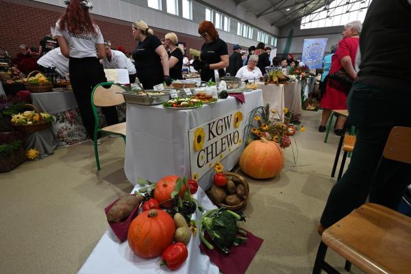 finał konkursu Na największą wielkopolską pyrę oraz potrawę z pyry. - kliknij aby powiększyć