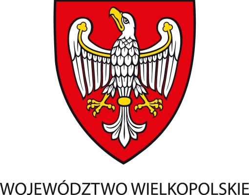 SPOT 2004-2006 – Zakup 8 sztuk autobusów szynowych przeznaczonych do wykonywania regionalnych przewozów pasażerskich - zobacz więcej