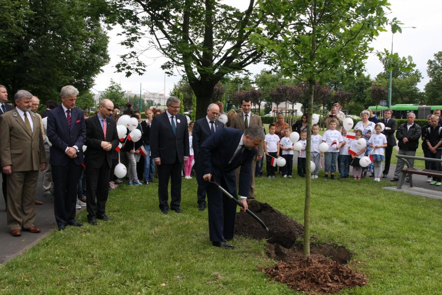 Dąb Wolności na 25-lecie wyborów z 4 czerwca ‘89 - zobacz więcej