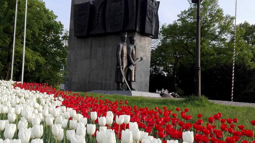 Dywan z tulipanów w hołdzie Powstańcom Wielkopolskim - zobacz więcej