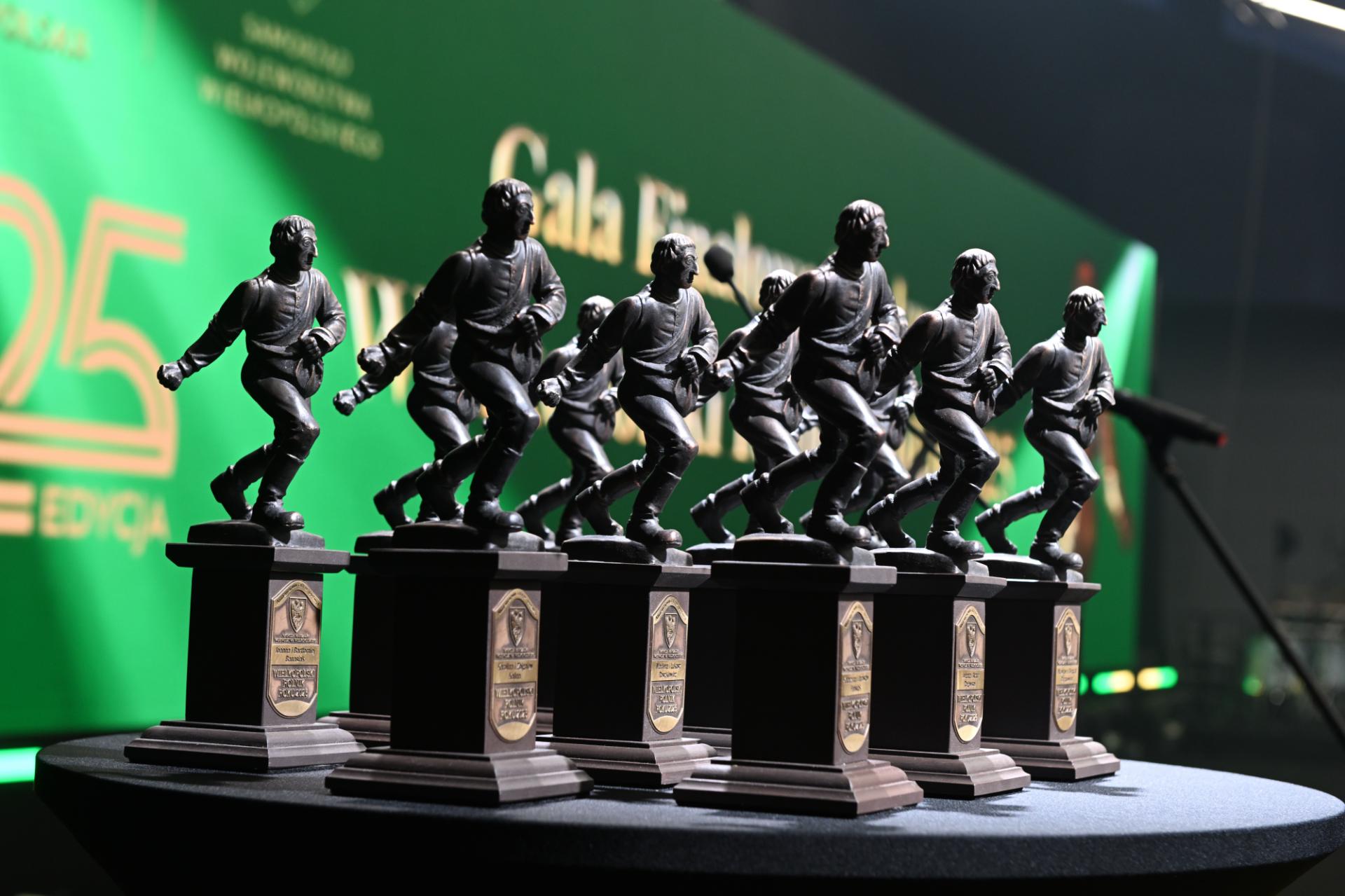 Wielkopolski Rolnik Roku - zobacz więcej