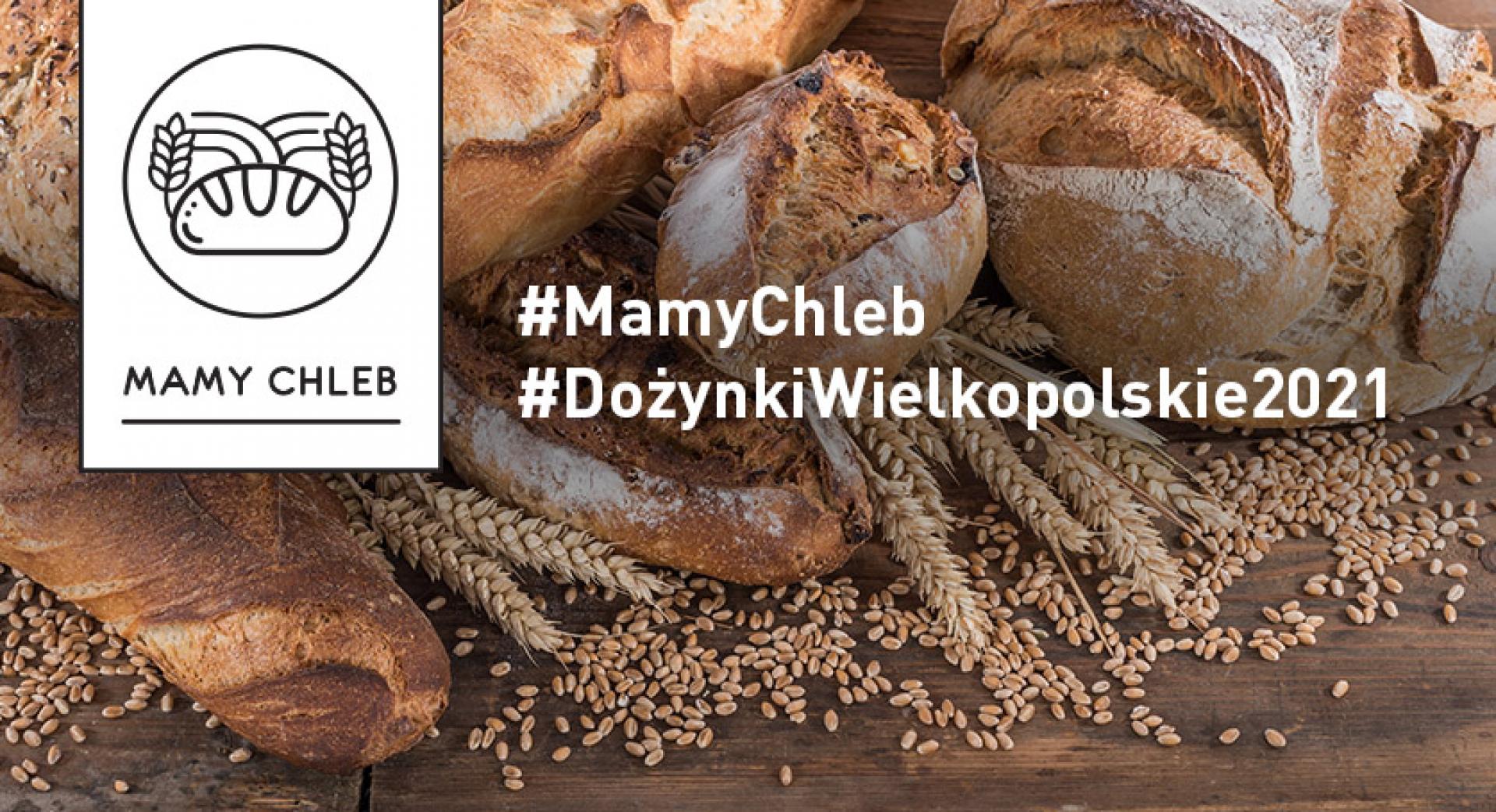 #MamyChleb – trwają nasze Dożynki Wielkopolskie 2021 online. Teraz czas na dożynkowe dekoracje - zobacz więcej