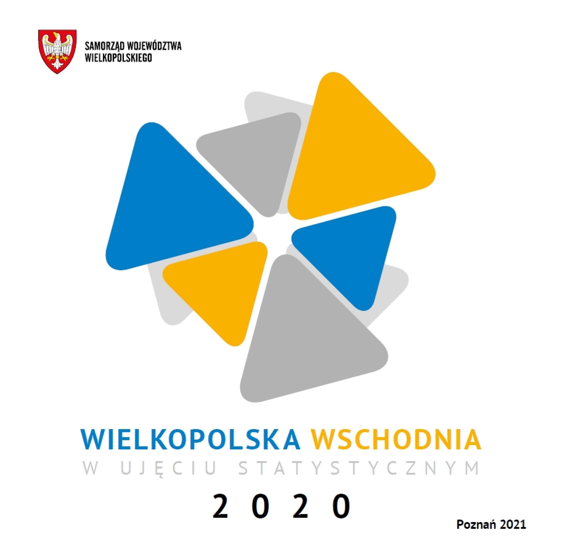 Wielkopolska Wschodnia 2020 w ujęciu statystycznym - zobacz więcej