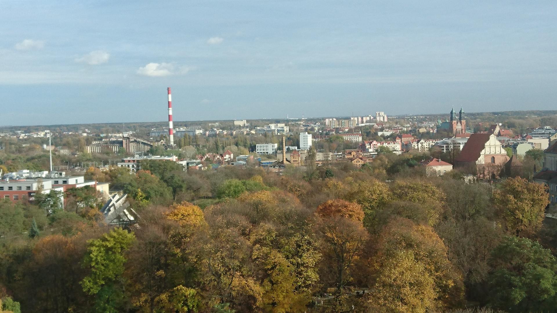 Ministerstwo Zdrowia: zanieczyszczenia powietrza a zdrowie Polaków - zobacz więcej