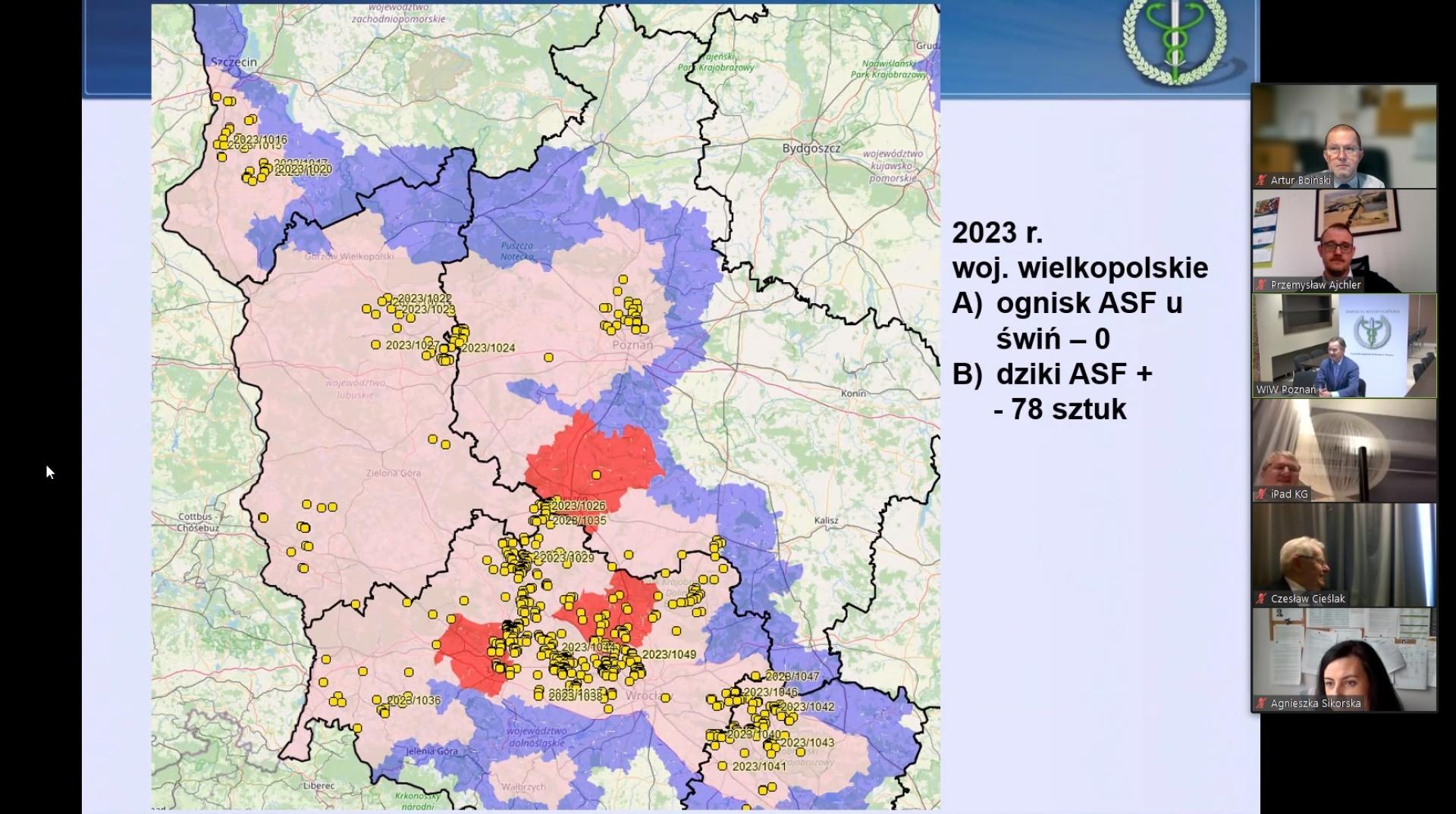 PROBLEM ZE ŚWINIAMI - zobacz więcej