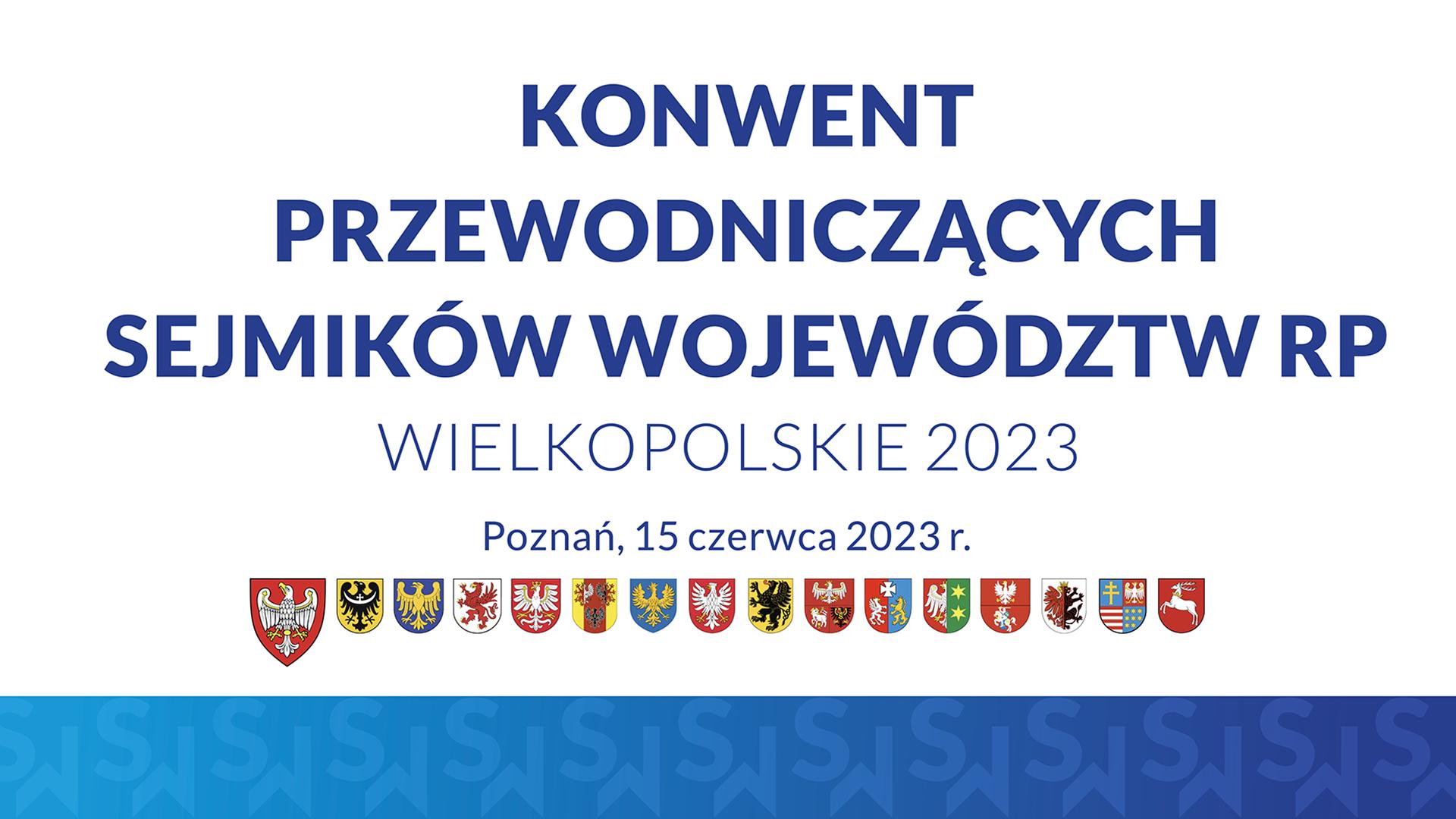 SAMORZĄDOWY SZCZYT W POZNANIU - zobacz więcej