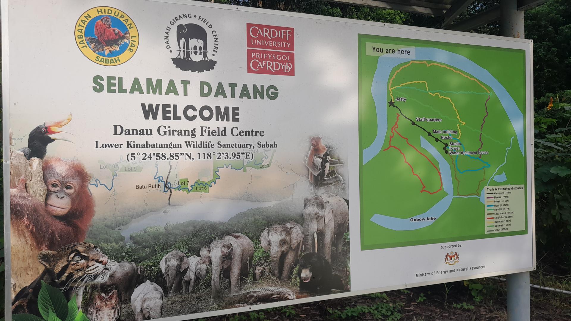Wizyta w Danau Girang Field Centre w Malezji - zobacz więcej