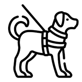 Rysunek psa przewodnika na smyczy