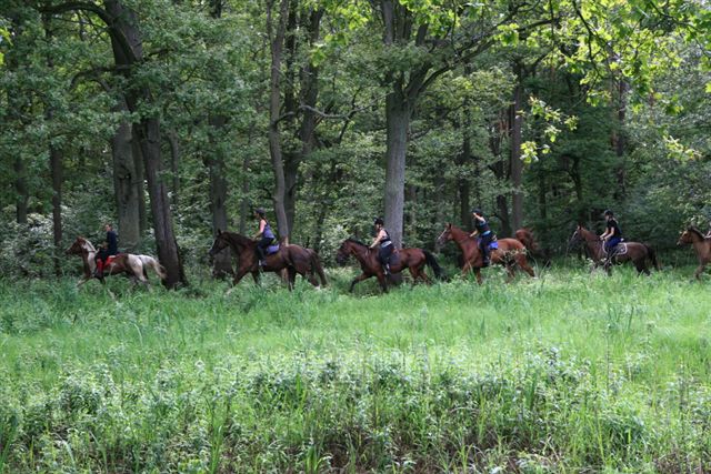  horse riding